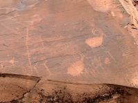 Bighorn petroglyphs at Black Mountain
